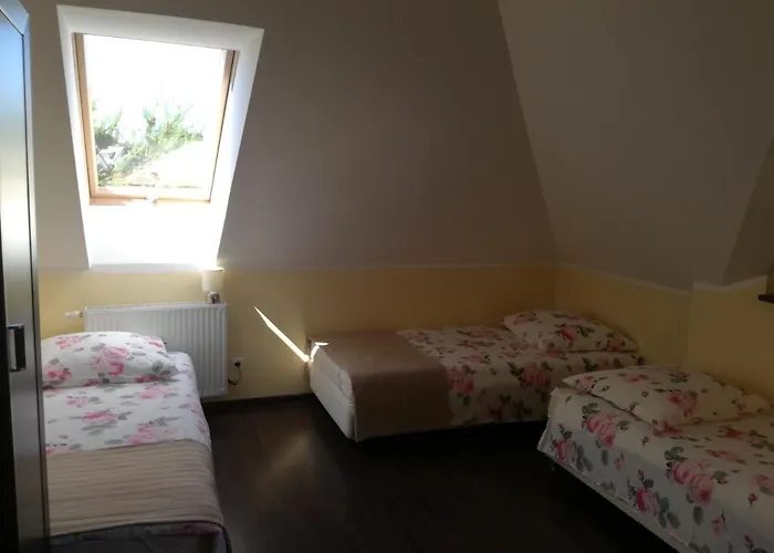 Ega * Władysławowo