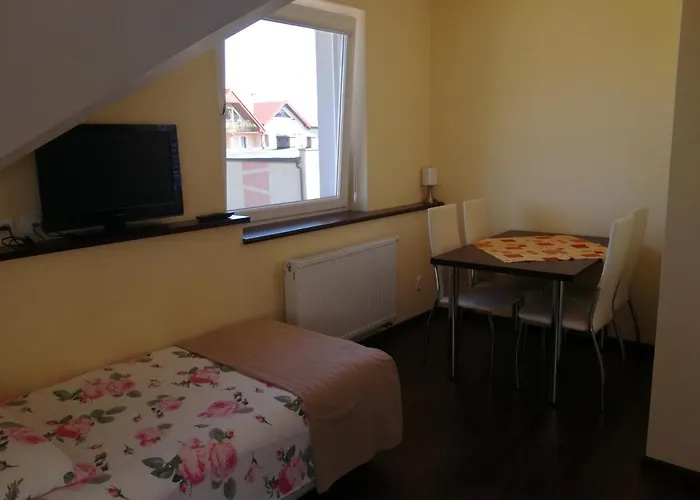 Ega * Władysławowo